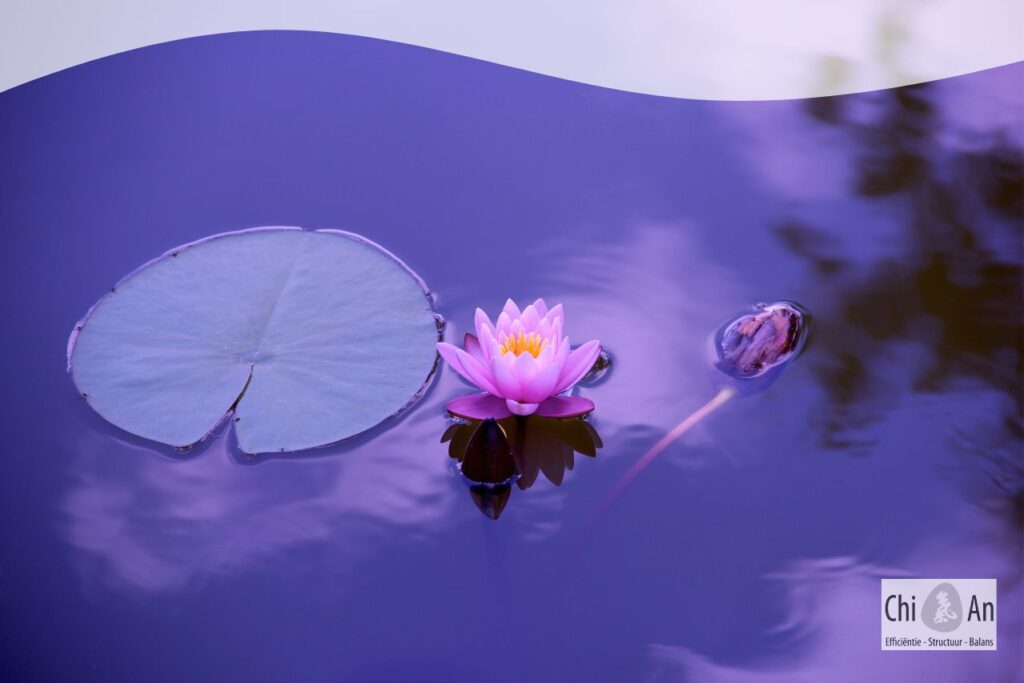 Wat gebeurt er tijdens een FKC-consult